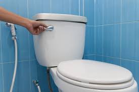 Toilet flush